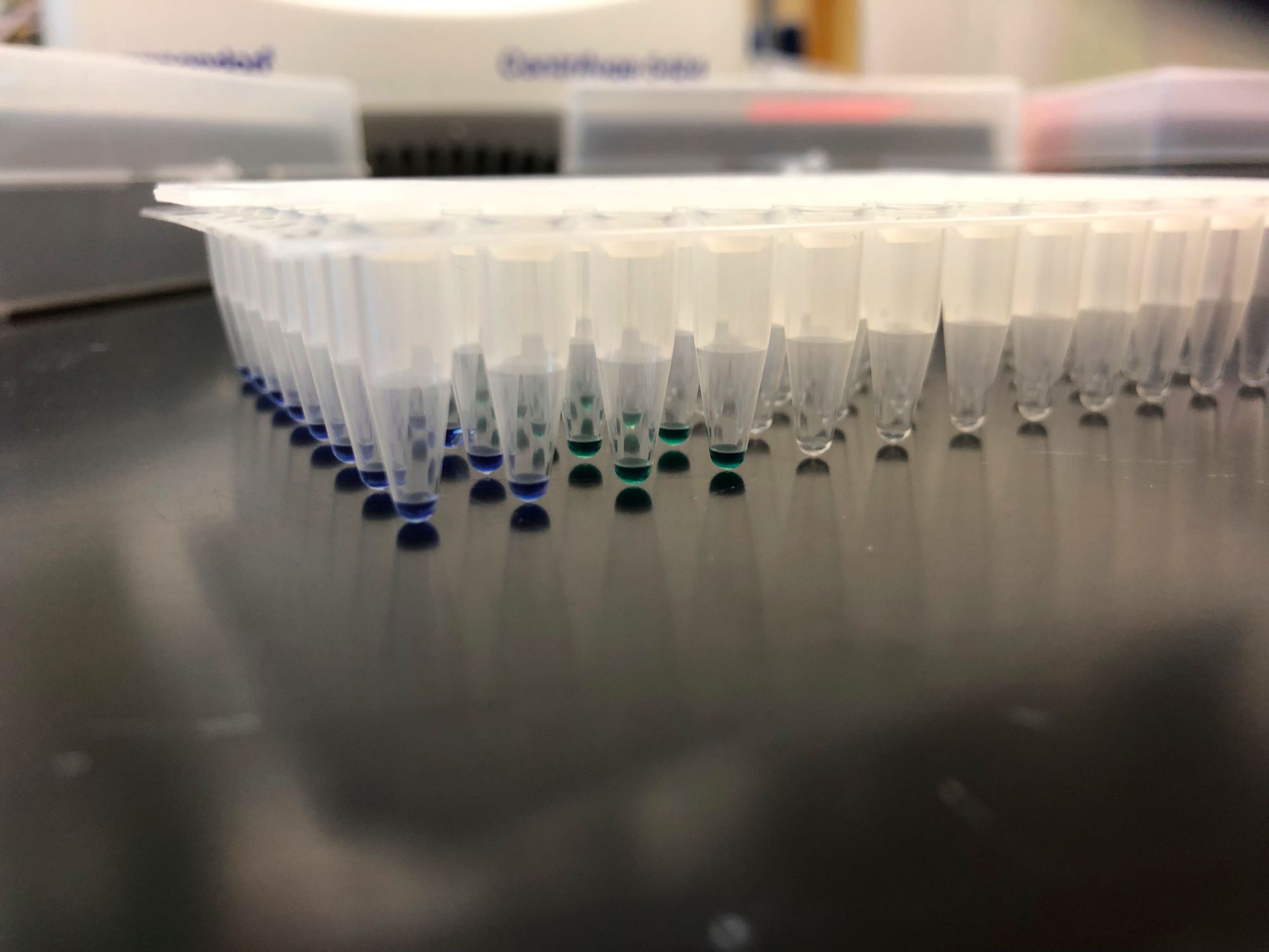 PCR tubes